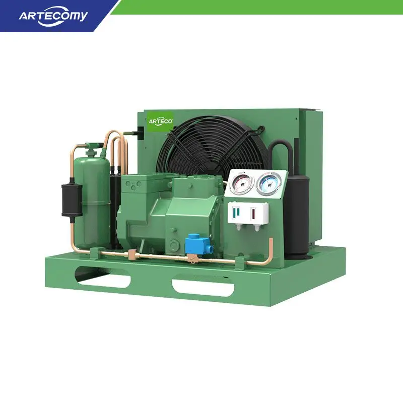 Bitzer 2DES-2Y 2HP Condensing Unit